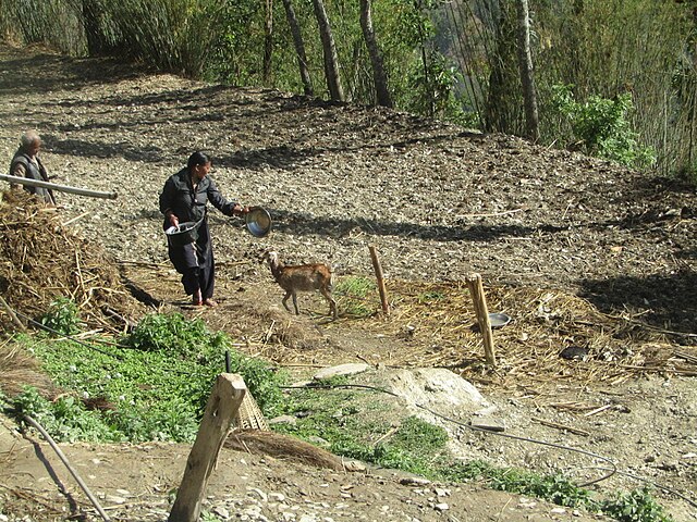 How India’s 'Life-Giving' Salt Became Nepal’s Secret Weapon Against Childhood Disease