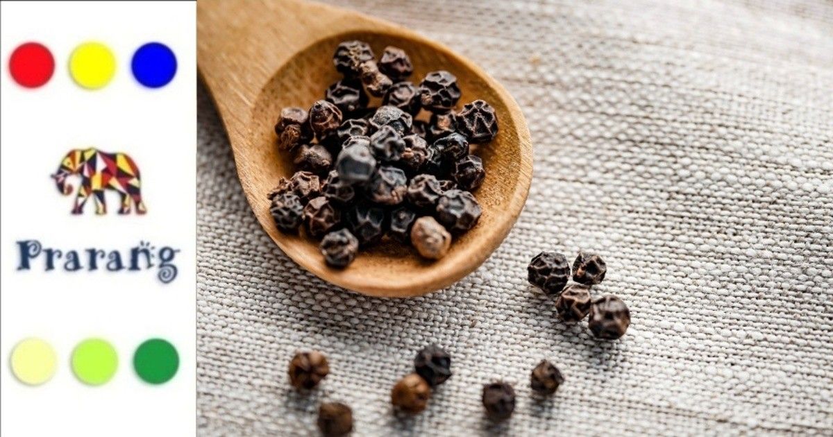 काली मिर्च: स्वाद, खेती और वैश्विक व्यापार की एक रोचक यात्रा