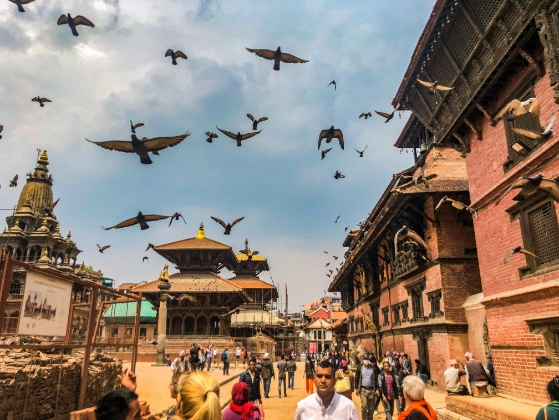 Will Ancient Architectural Secrets Redefine Our Modern Urban Homes?