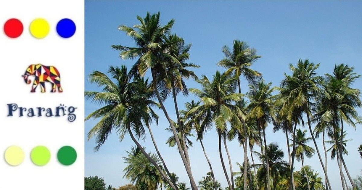 ताड़ के पेड़ों का महत्व उपयोग और संरक्षण की बढ़ती जरूरत