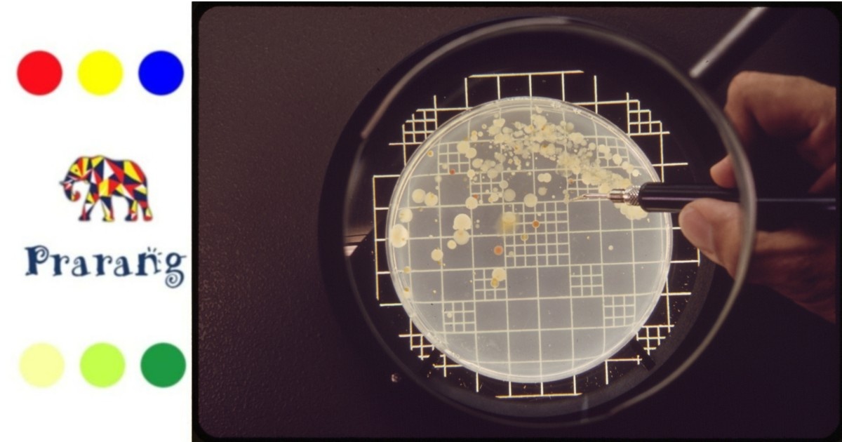 प्रदूषण नियंत्रण में बैक्टीरिया से बनी जीवित सामग्री की नई वैज्ञानिक पहल