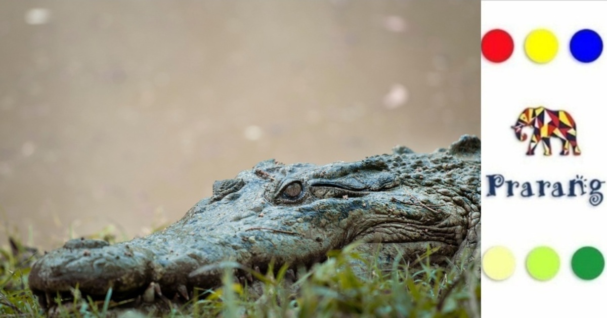 क्या हम अपनी प्रजातियों को बचा पाएंगे? कुकरैल से सीख