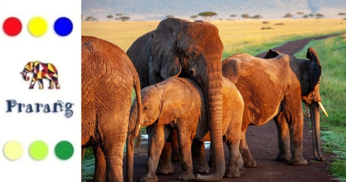 हाथी सबका साथी? बढ़ता मानव-हाथी संघर्ष और समाधान